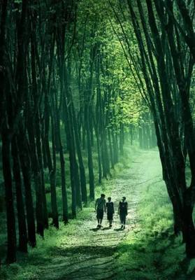 313文旅‖探討:森林康養規劃怎么做?