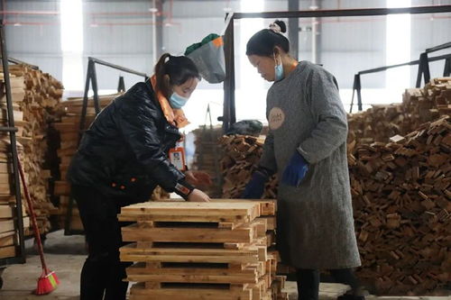 貴州錦屏年產20萬方木制品加工廠重大項目建設有序推進