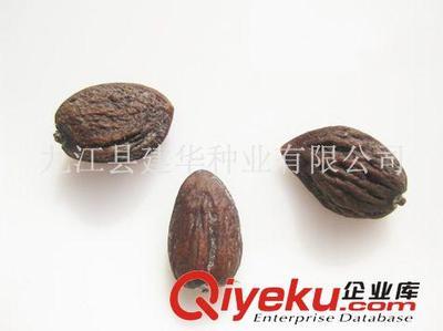 供應(yīng)木蘭科種子 觀光木 香花木香木楠、宿軸木蘭 園林綠化種子-九江縣建華種業(yè)提供供應(yīng)木蘭科種子 觀光木 香花木香木楠、宿軸木蘭 園林綠化種子的相關(guān)介紹、產(chǎn)品、服務(wù)、圖片、價(jià)格九江縣建華種業(yè)、林木種子;工程種子;園林綠化種子;花卉種子;珍稀樹種;紫玉蘭種子;羅漢松種子;黃山欒種子;小葉雞爪槭種子;桂花種子;濕地松種子;雪松種子;楠木種子;南方紅豆杉種子;櫸樹種子;杉木種子;皂角種子;楊梅種子;馬尾松種子;藍(lán)花楹種子