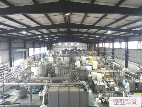 高登志的夢,只為安陽百姓吃上放心豆腐