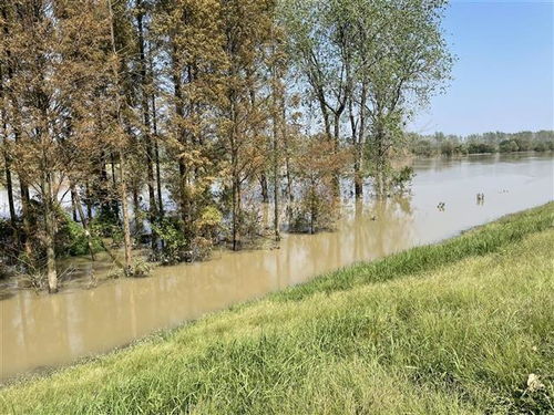 湖北省終止水旱災(zāi)害防御iv級(jí)應(yīng)急響應(yīng)