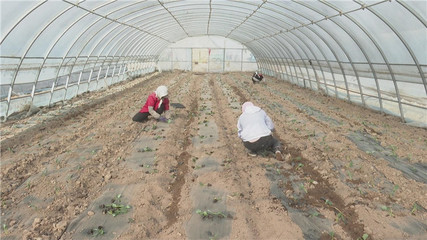 【奮進(jìn)新征程 建功新時(shí)代】高臺(tái):開(kāi)足馬力加油干 沖刺首季&ldquo;開(kāi)門紅&rdquo;