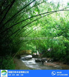 開(kāi)封竹木地板廠家電話 開(kāi)封竹木地板 萬(wàn)林木結(jié)構(gòu)廠家