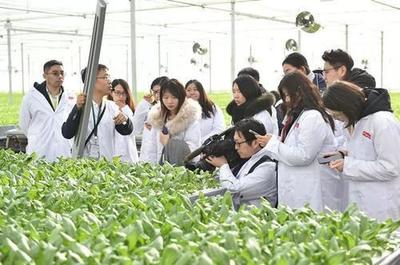 劉強東終于出手!京東新技術(shù)的誕生,或?qū)㈩嵏矀鹘y(tǒng)蔬菜種植