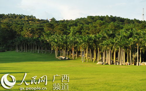 林木蔥郁青山秀，百花齊放青秀山