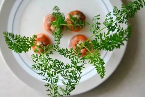 冬日蔬菜巧變盆栽，點(diǎn)綴居室添生機(jī)