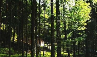 圖說(shuō)巴中美景 | 林木蔥蘢清風(fēng)爽，康養(yǎng)勝地天馬山